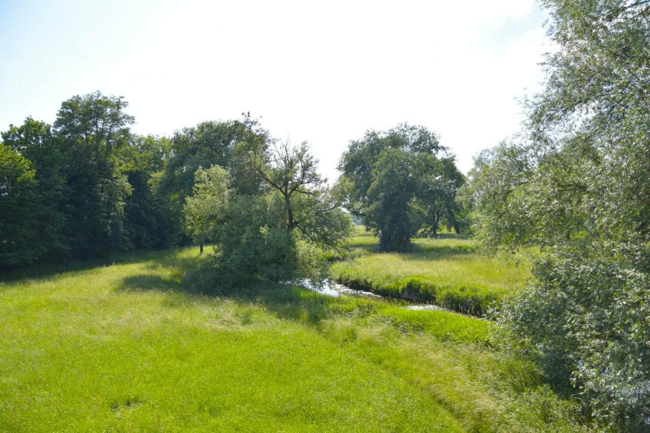 White Midsommar - Stilvolle Wohnung, 3 Schlafzimmer, Wohnzimmer, Kueche Landshut Buitenkant foto